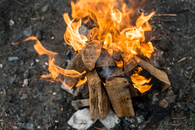 Fire Without Matches: Flint, Steel & Friction Methods